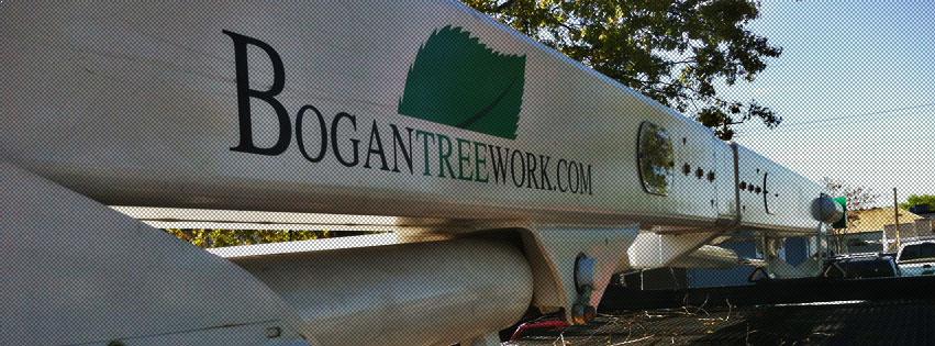 Tree removal, stump grinding, tree pruning